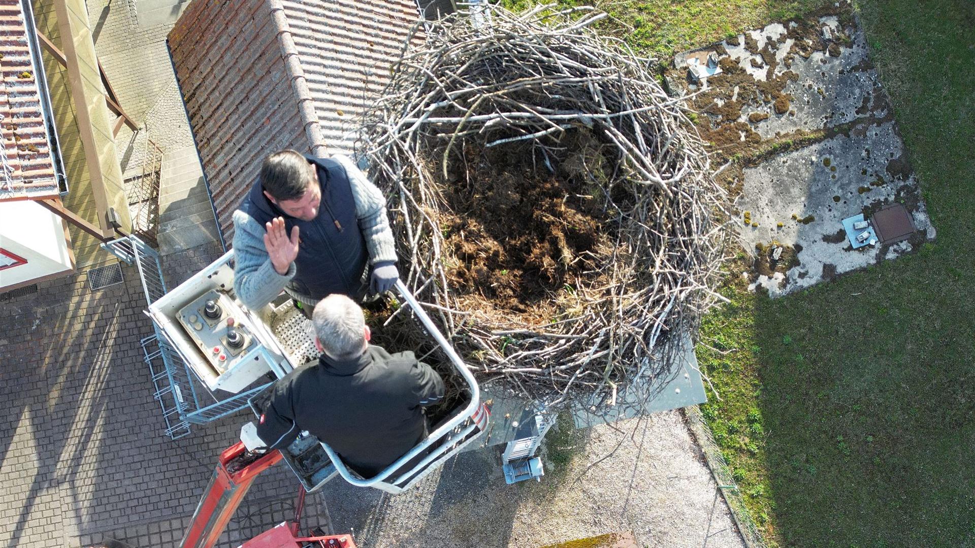 Reinigung Storchennest 2026