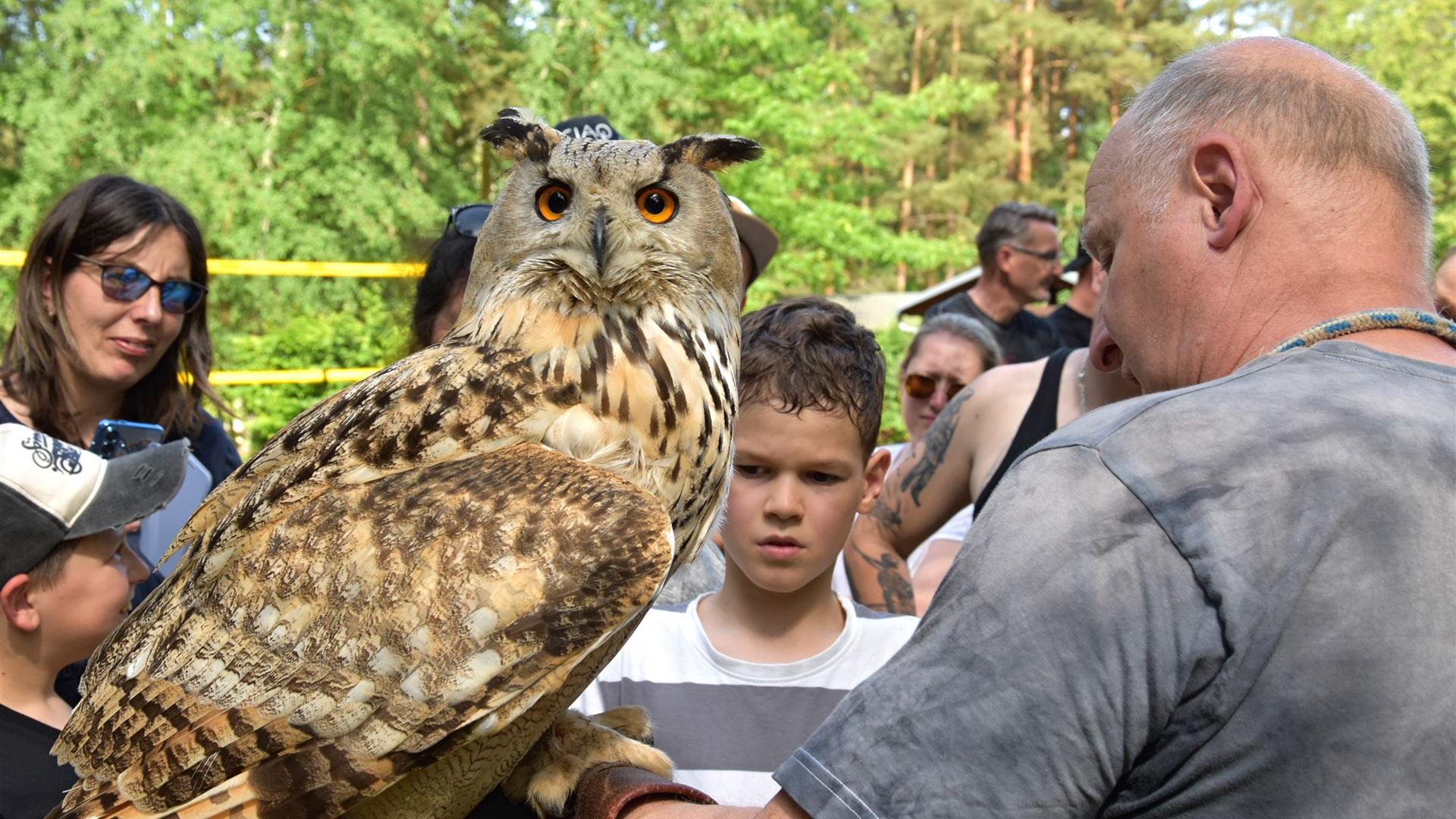 Falkner beim Kindertag 2025