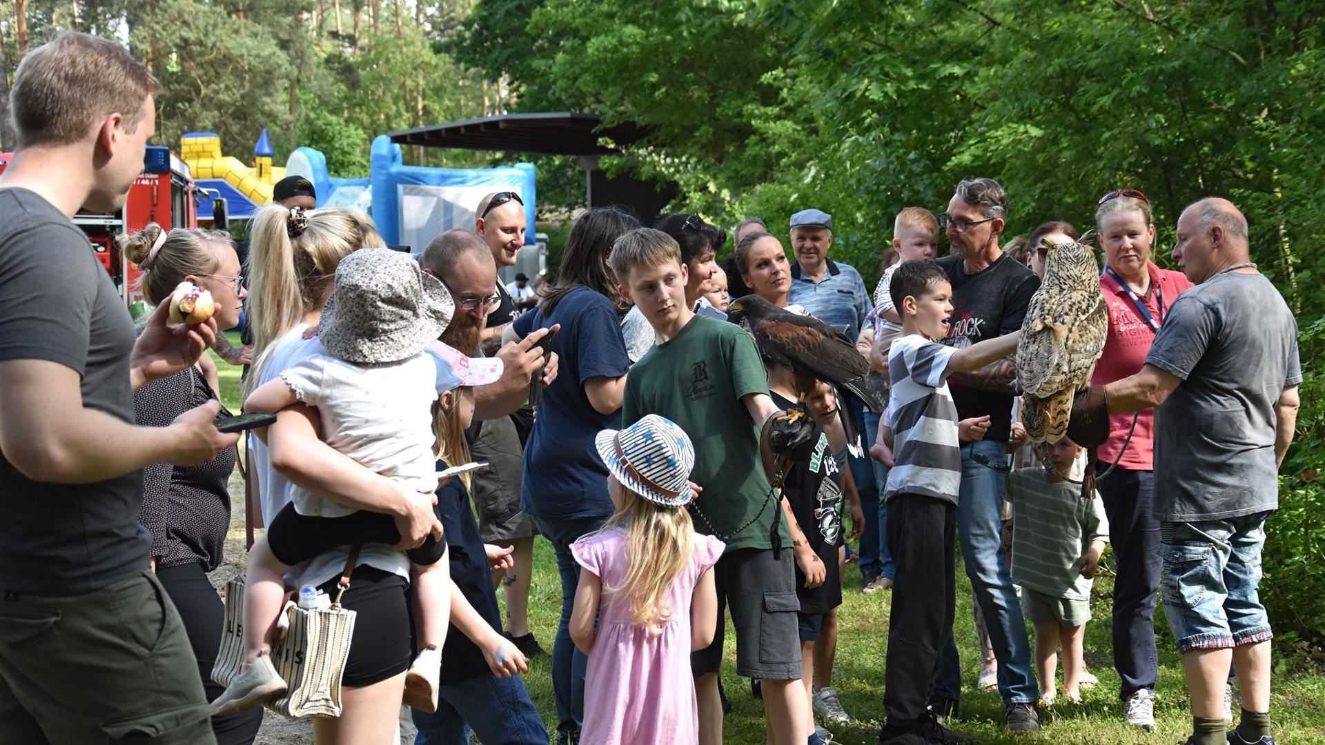 Falkner beim Kindertag 2025