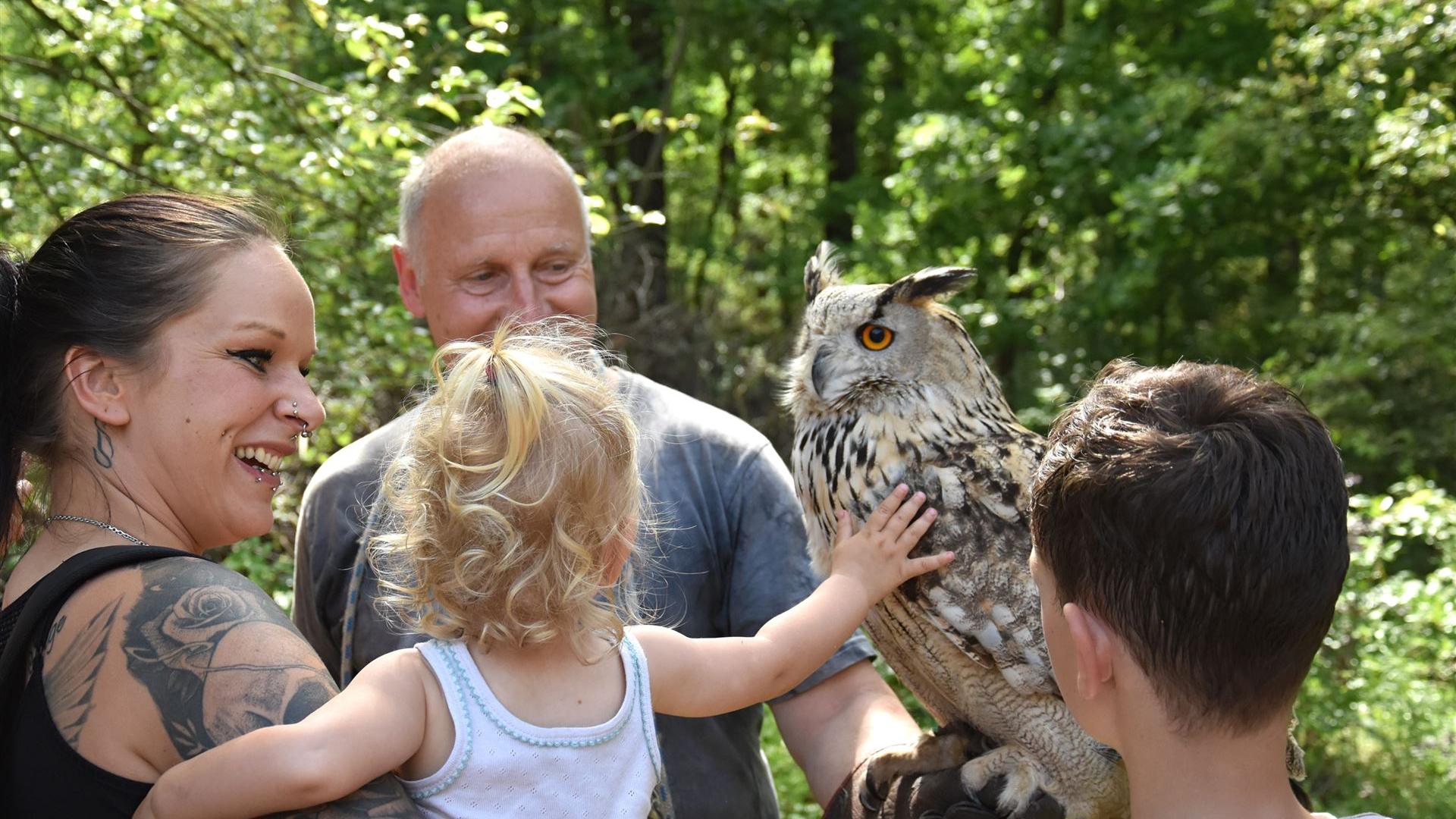 Falkner beim Kindertag 2025