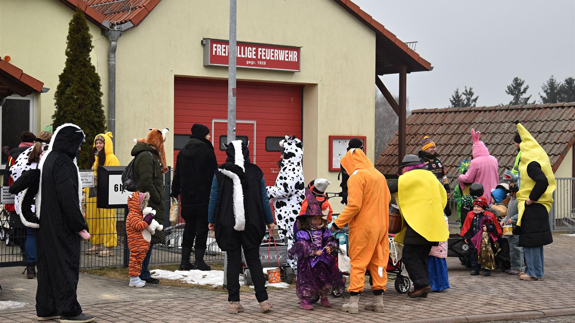 Kita HD Zampern 2026 