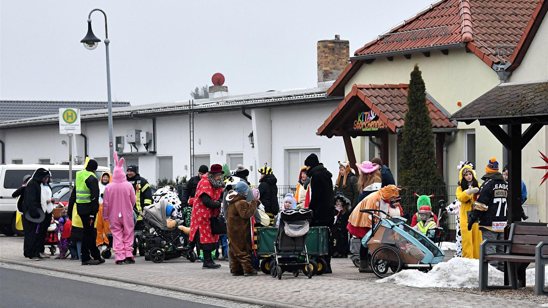 Kita HD Zampern 2026 