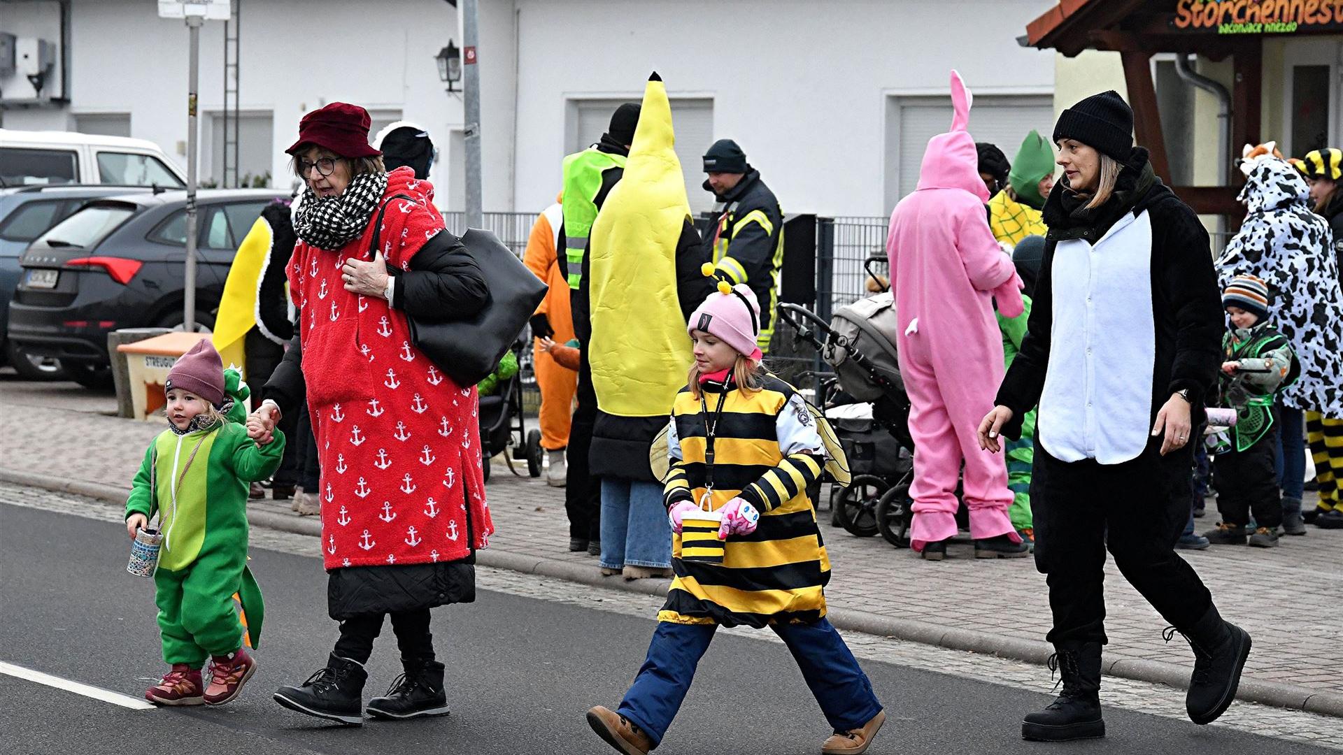 Kita HD Zampern 2026 