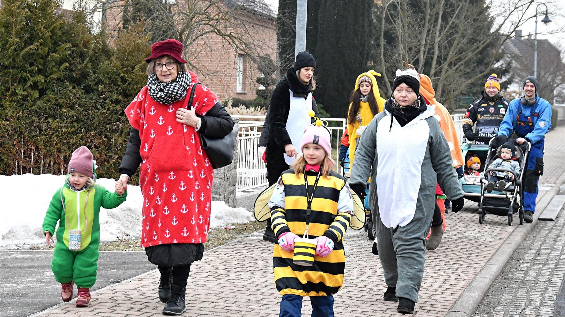 Kita HD Zampern 2026 