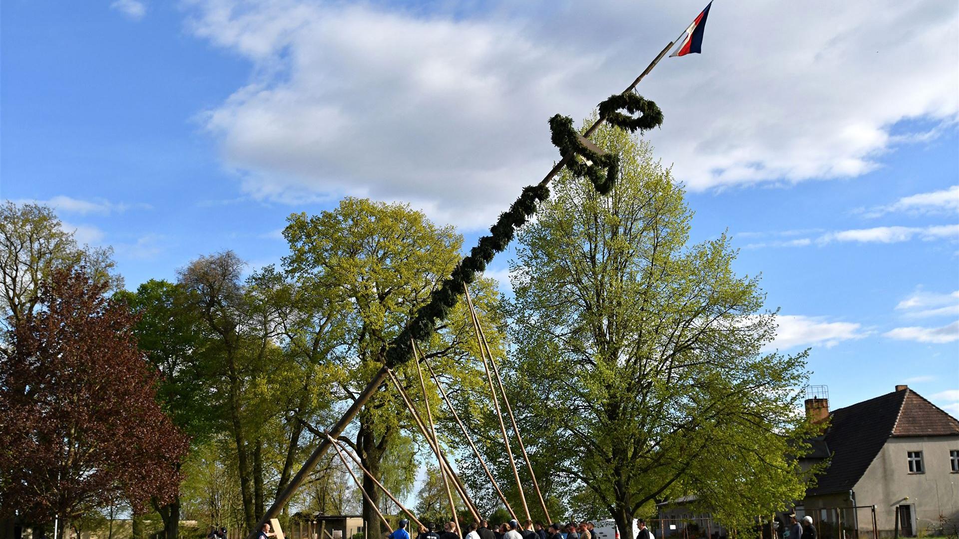 Maibaumstellen 2026