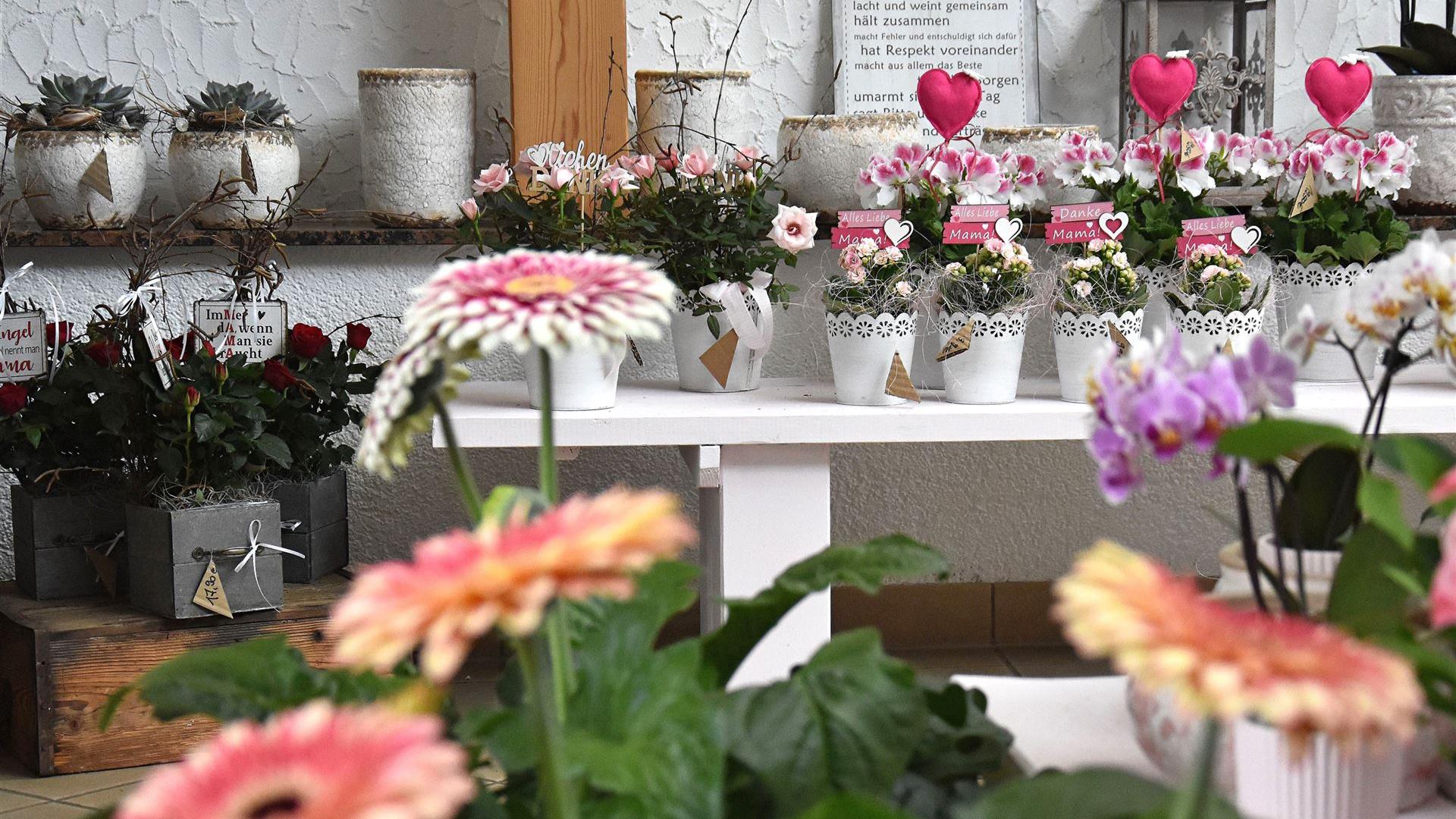 Muttertag im Blumenladen Krautz 2026