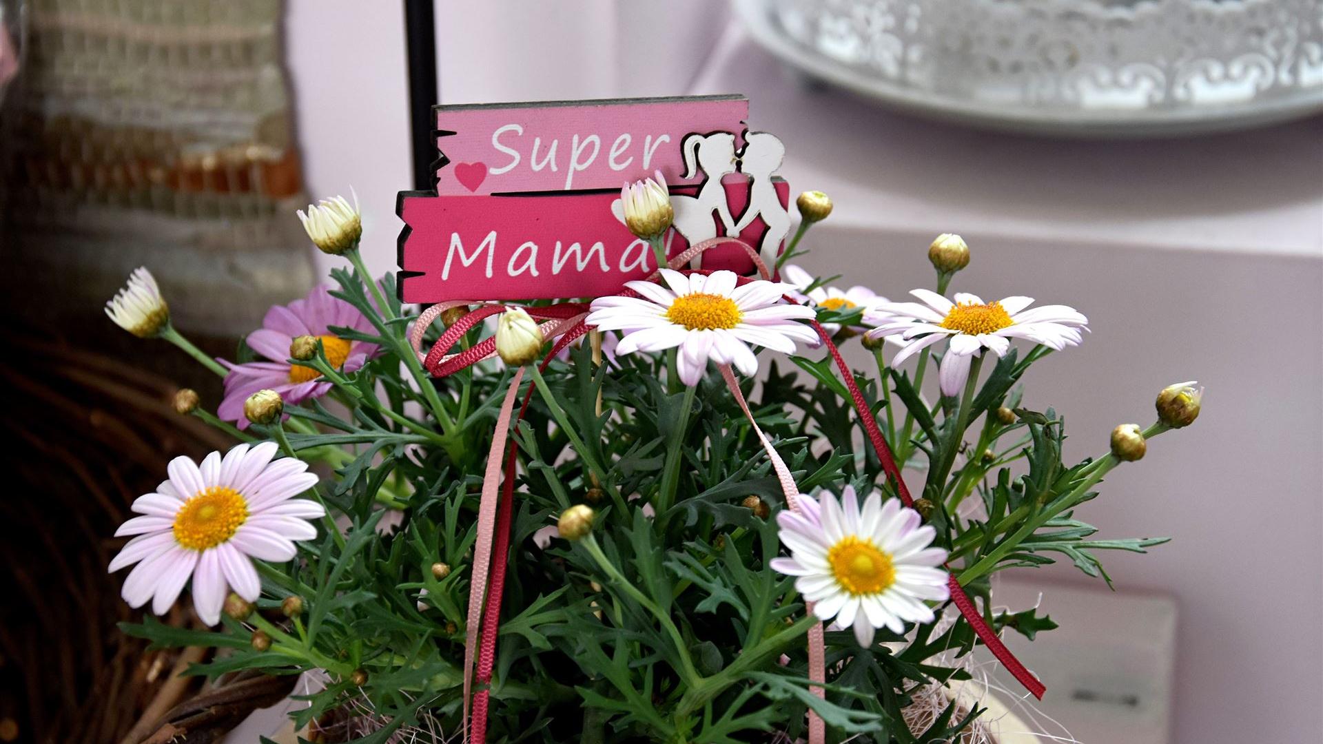 Muttertag im Blumenladen Krautz 2026
