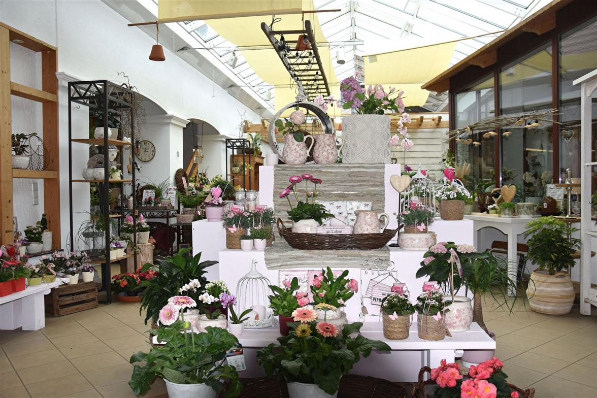 Muttertag im Blumenladen Krautz 2026