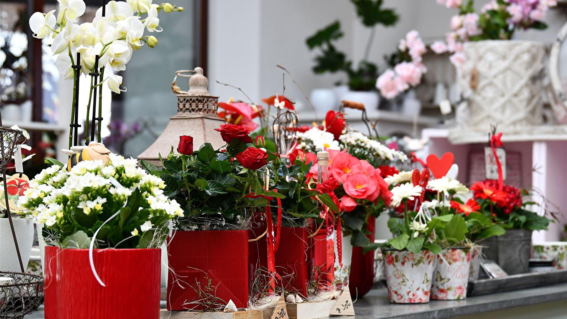 Muttertag im Blumenladen Krautz 2026