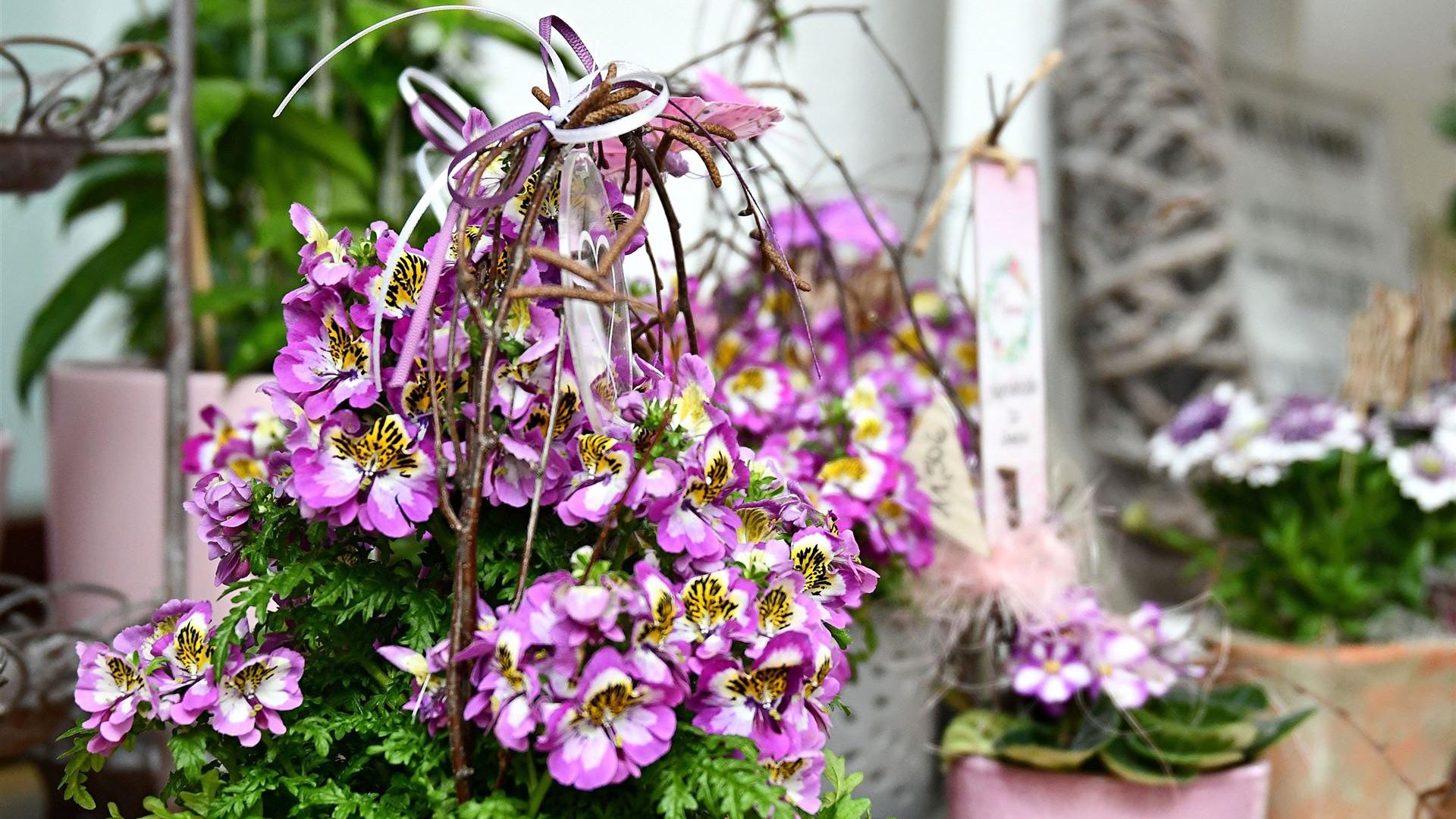 Muttertag im Blumenladen Krautz 2026