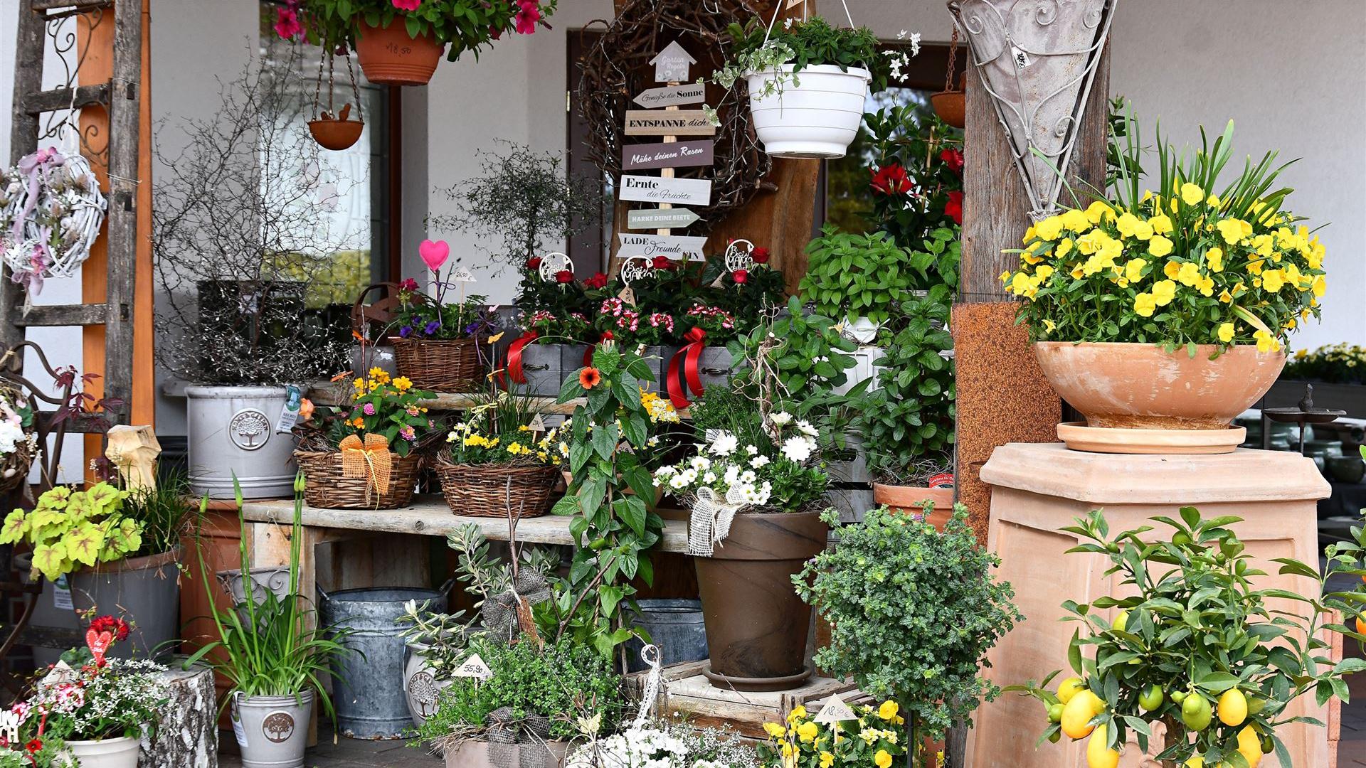 Muttertag im Blumenladen Krautz 2026