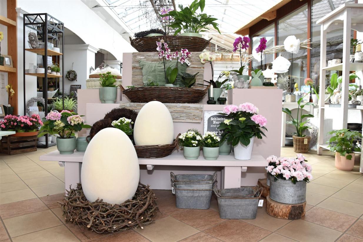 Auf in den Blumenladen Krautz