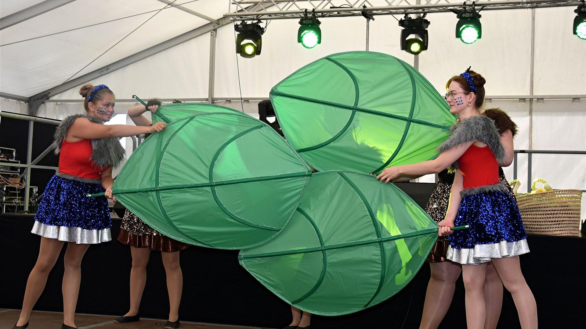 Showtanzen 2025