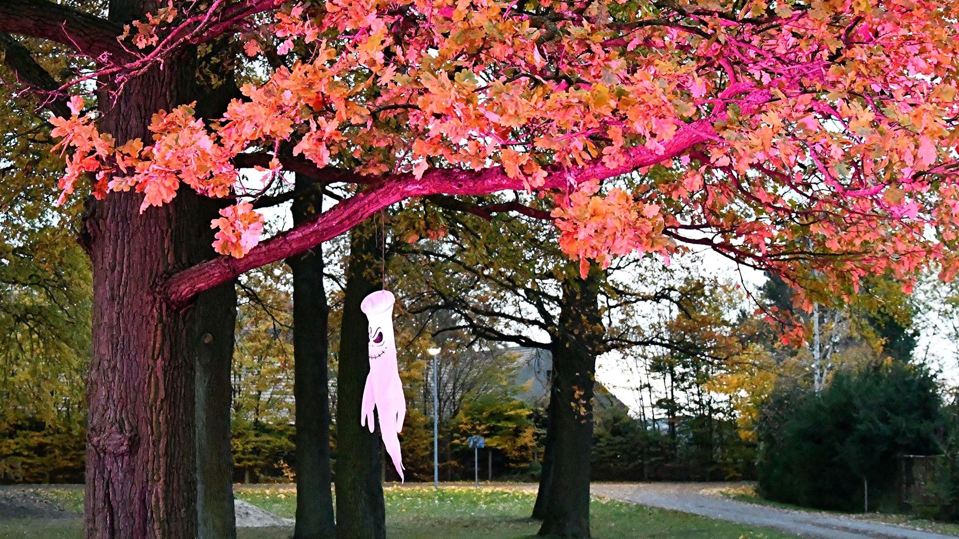 Spielplatz-Halloween