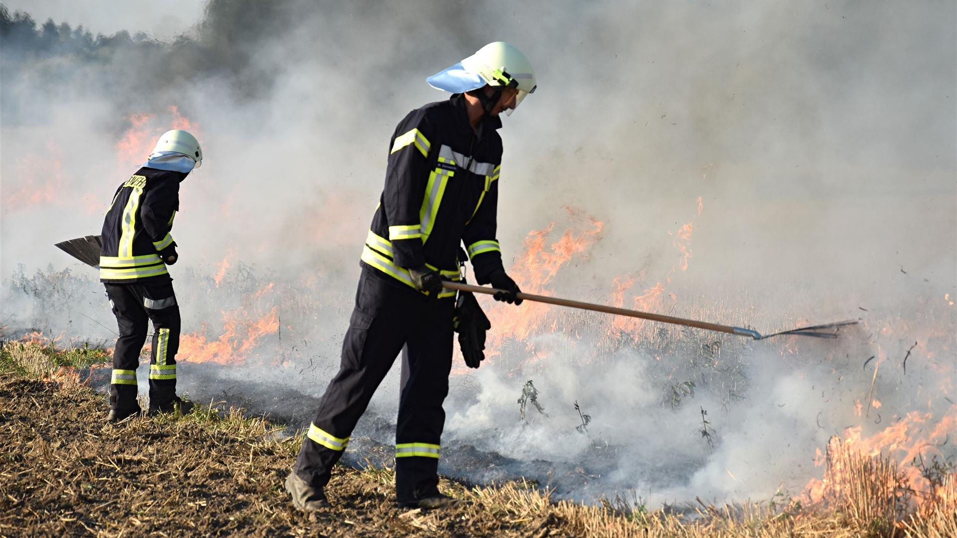 Gemeinsame Brandbekämpfung 