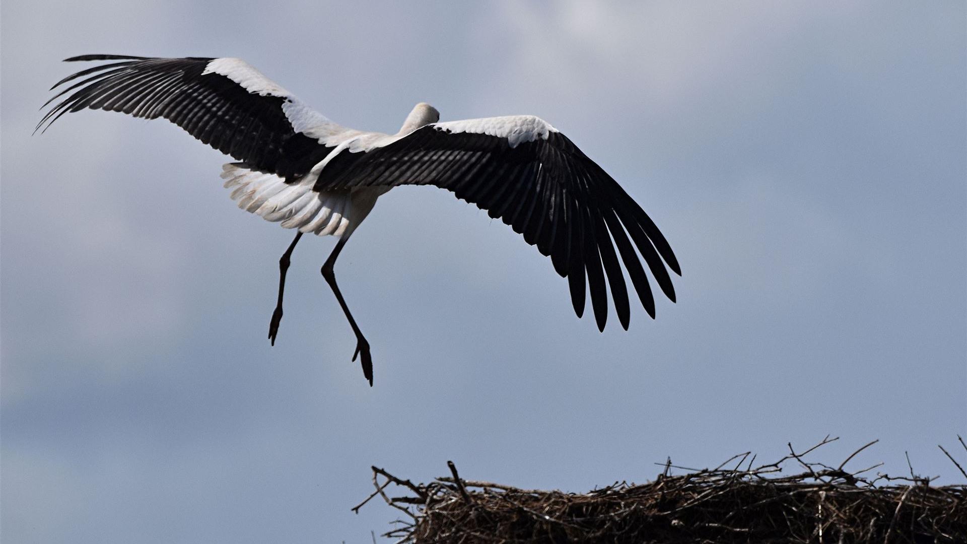 Landeanflug 