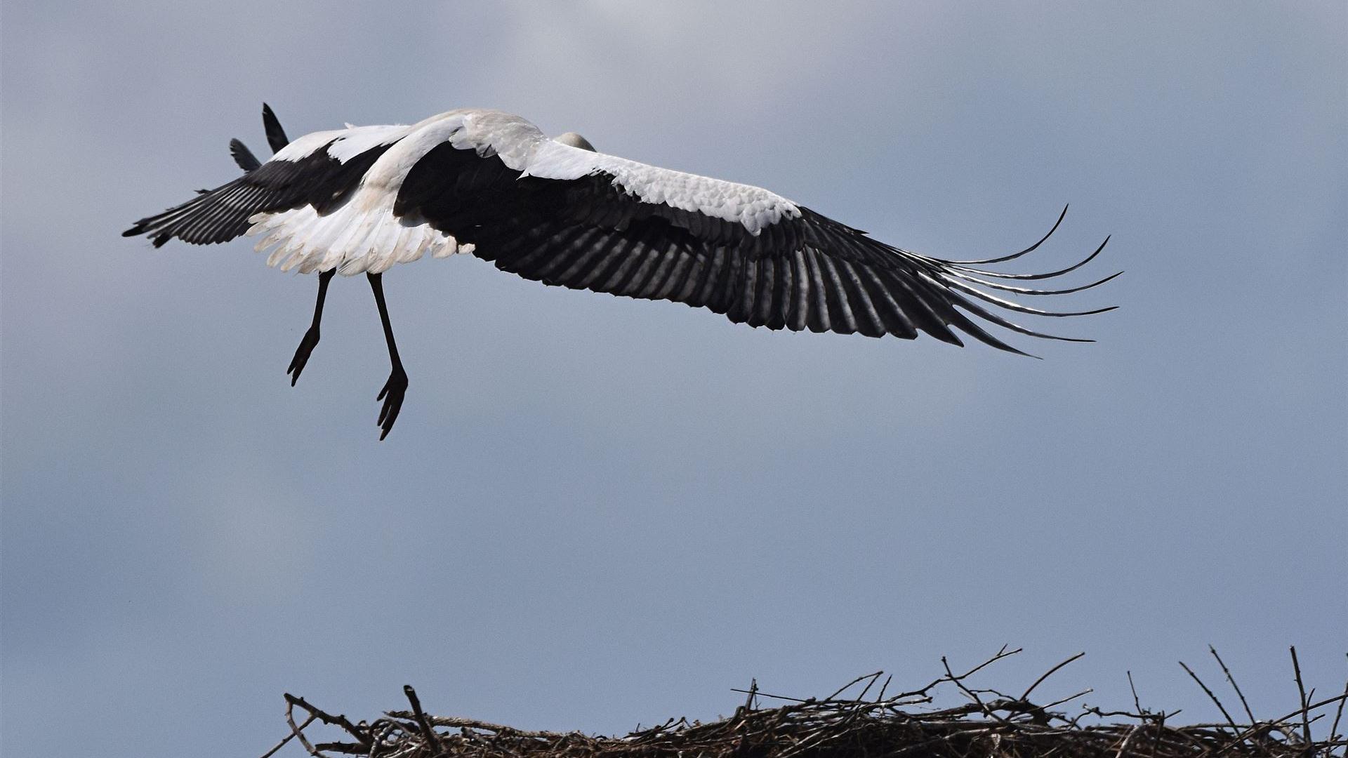 Landeanflug 