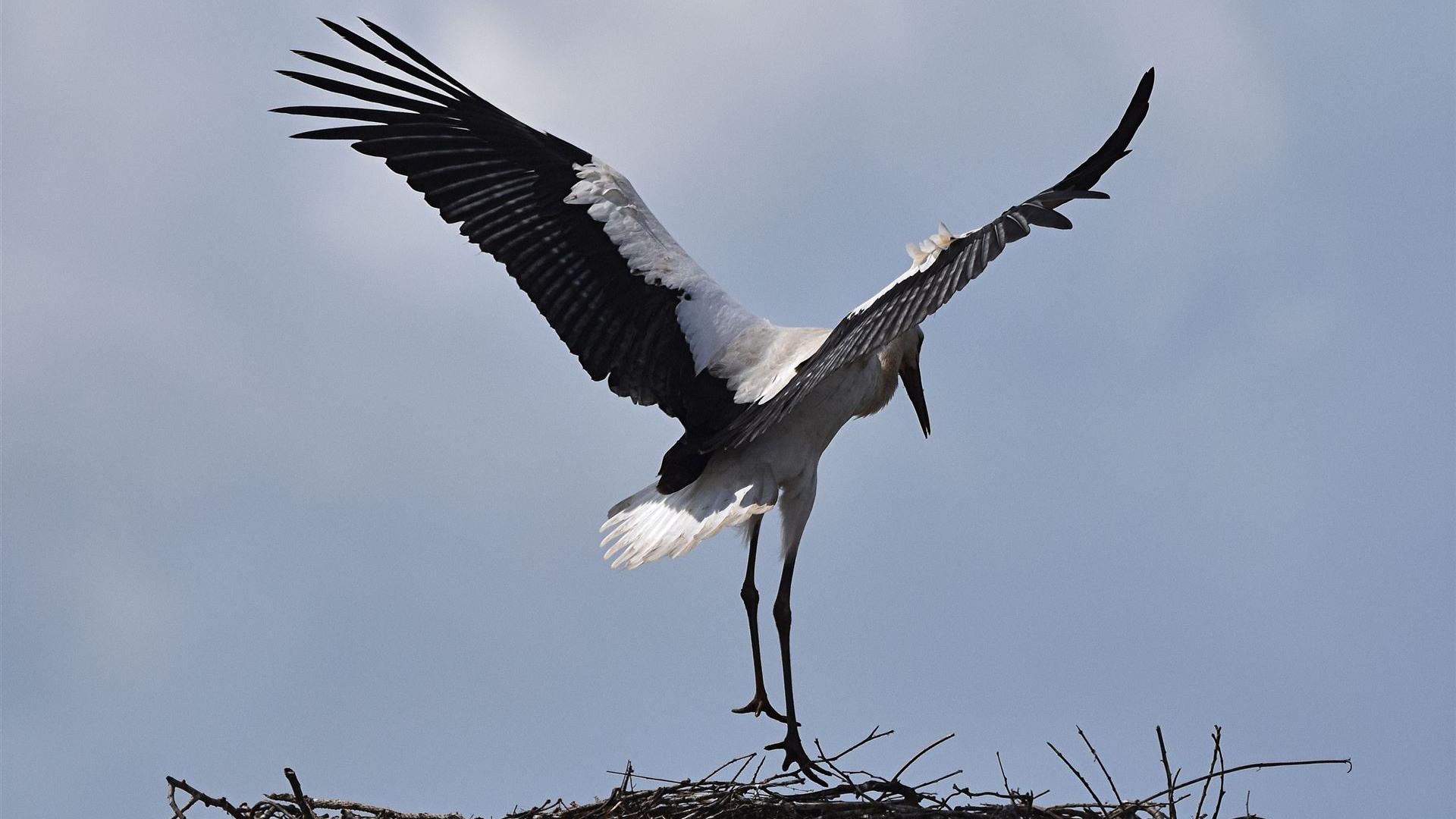 Landeanflug 