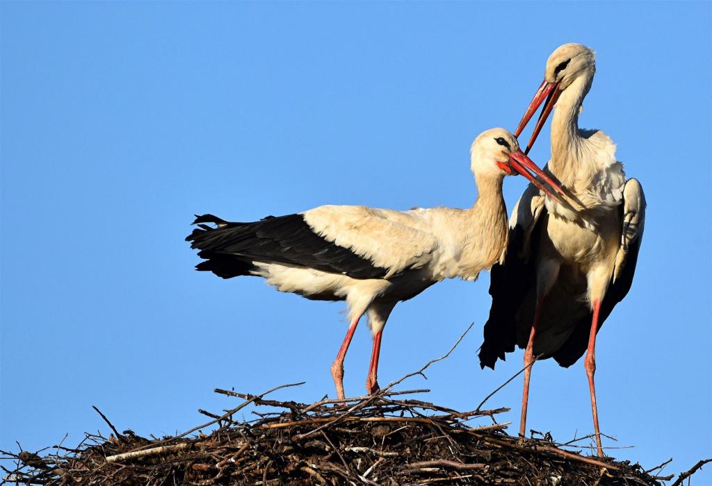Ostermontag um 07.53 Uhr