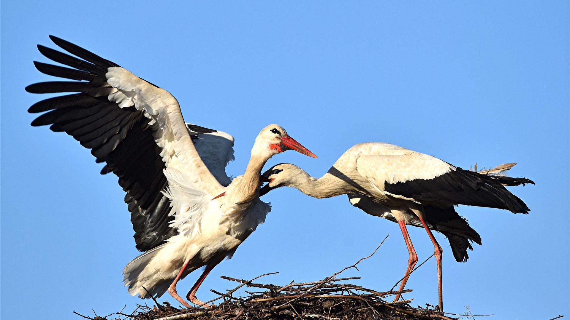 Ostermontag - 06.04.2026