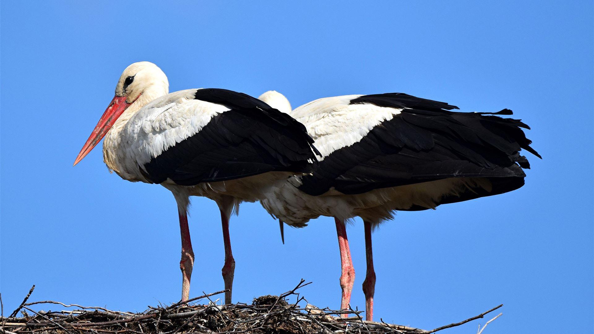 Ostermontag - 06.04.2026