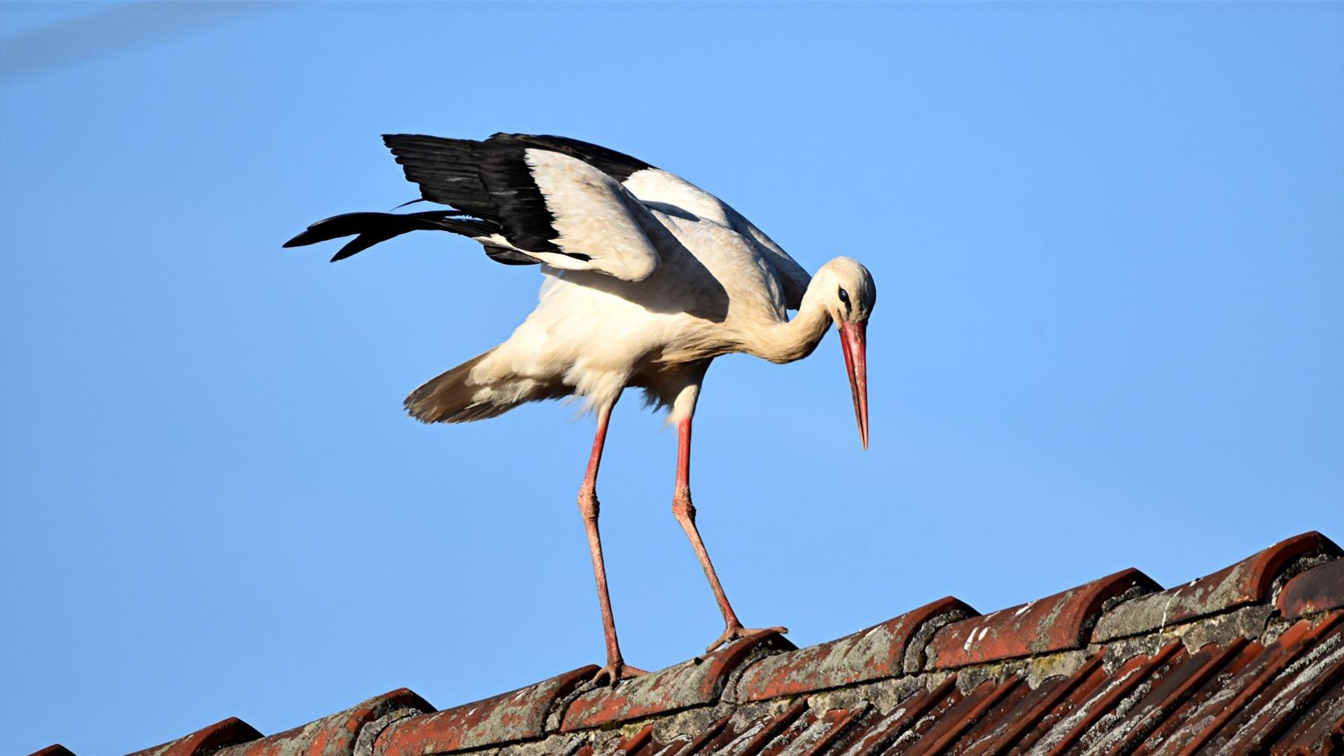 Ostermontag - 06.04.2026