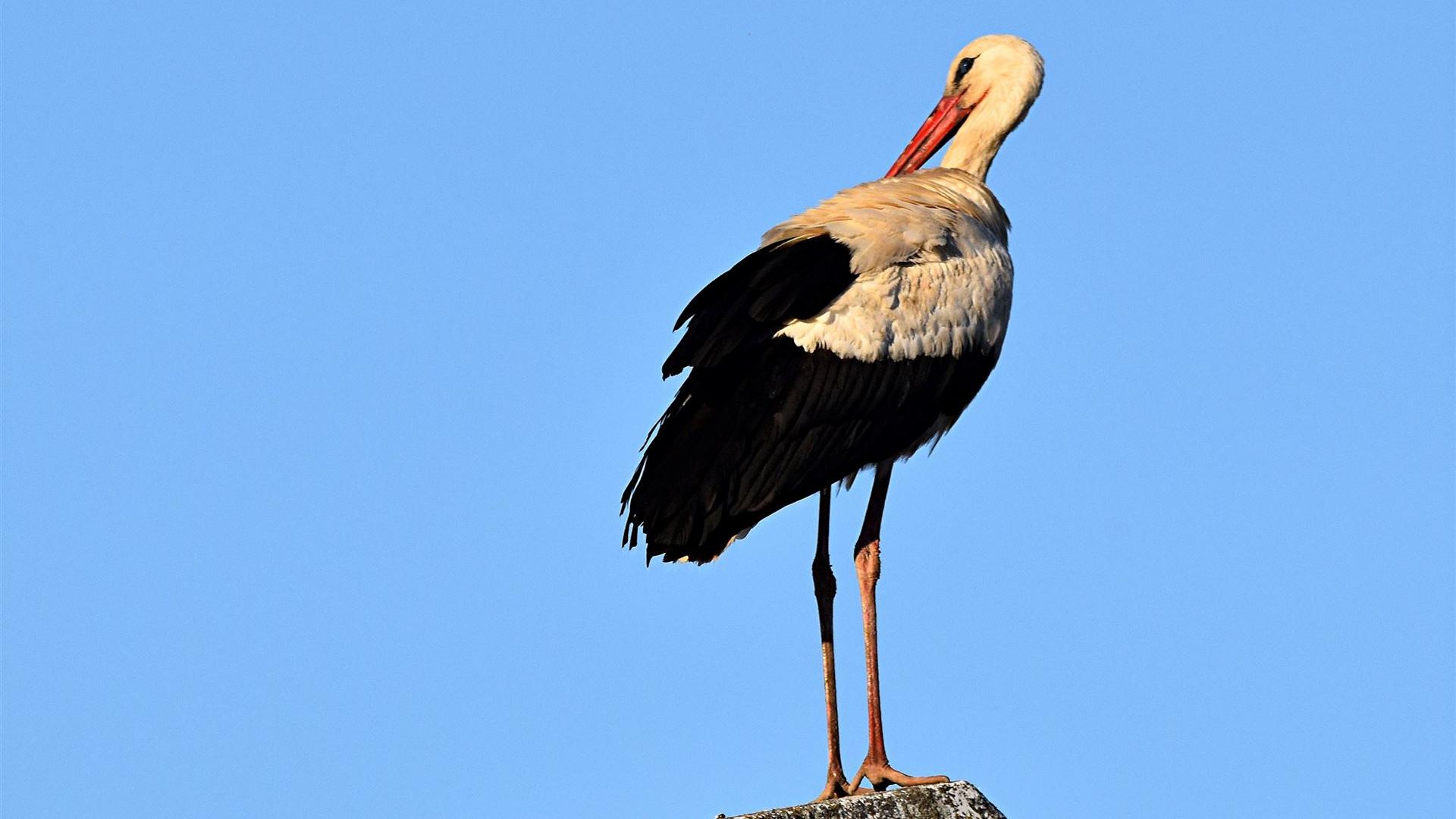 Ostermontag - 06.04.2026