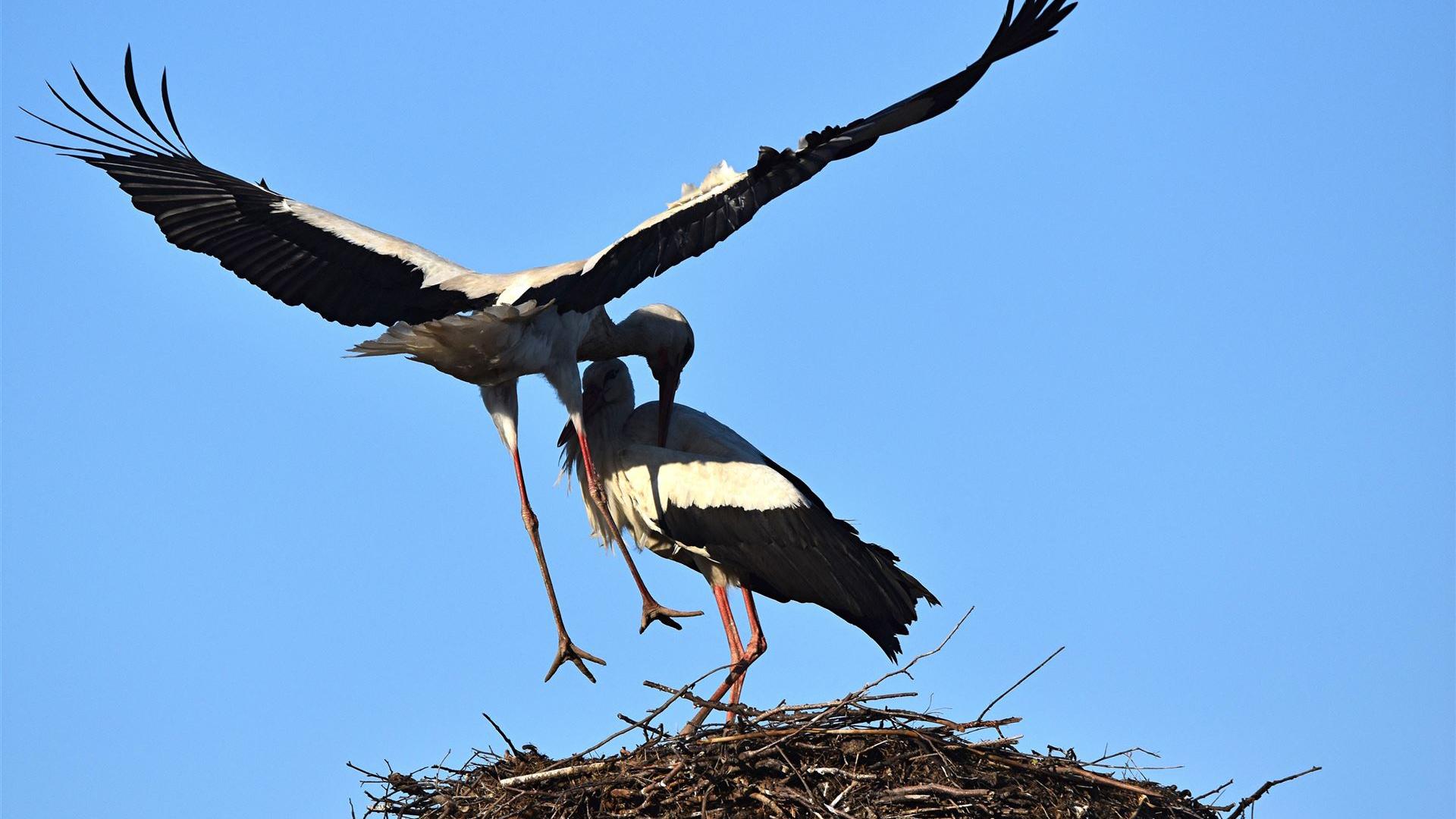 Ostermontag - 06.04.2026