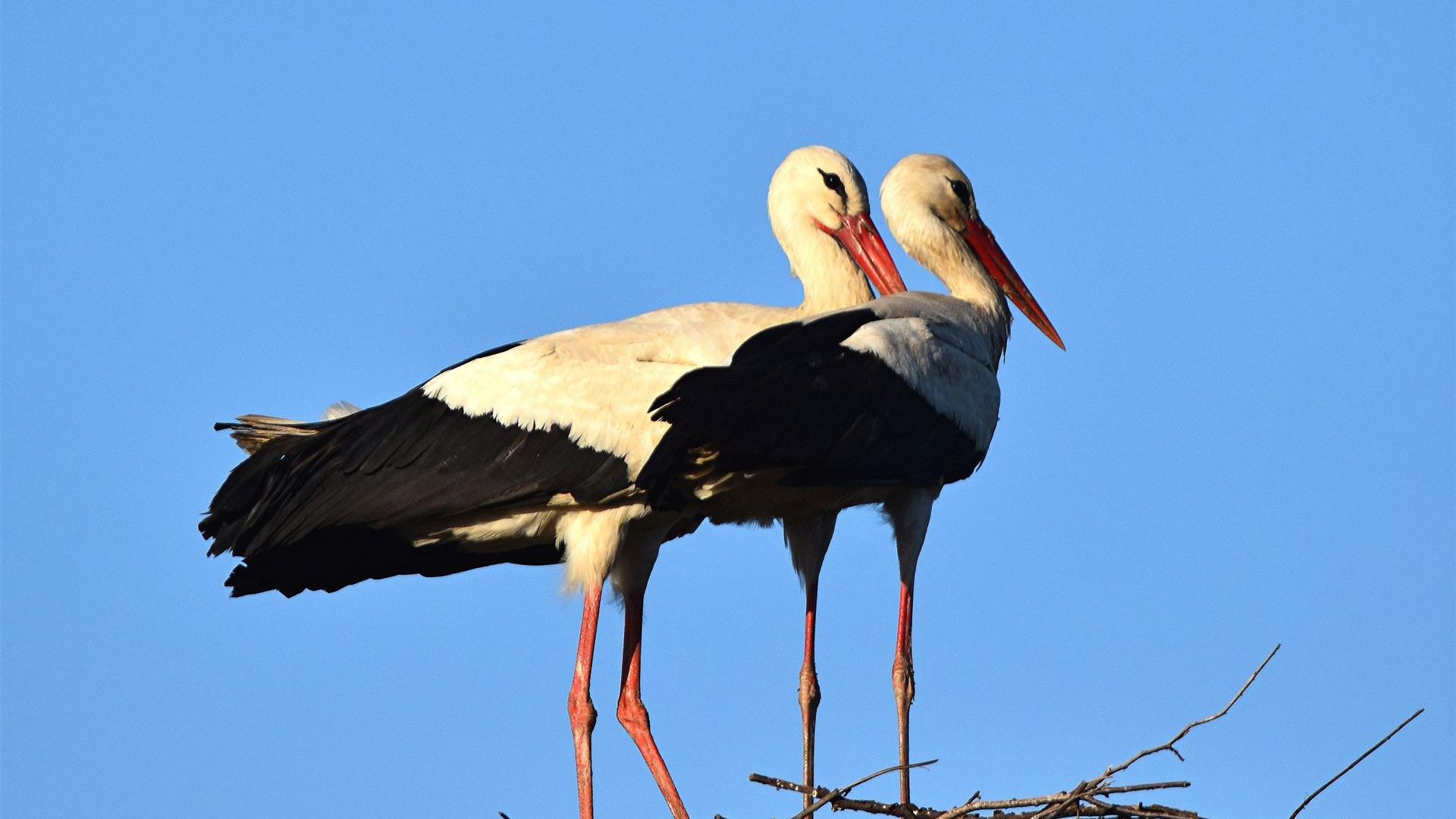 Ostermontag - 06.04.2026