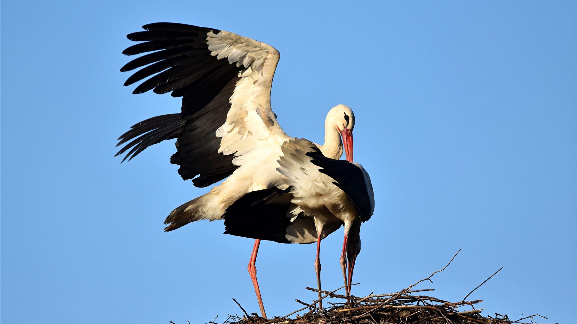 Ostermontag - 06.04.2026