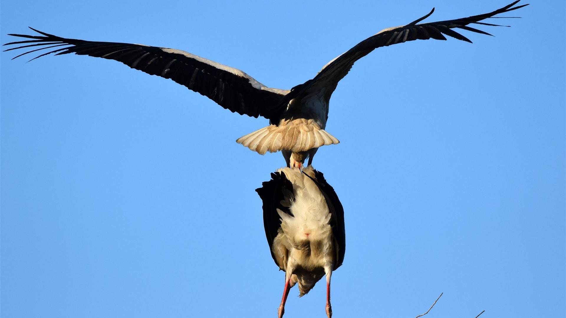 Ostermontag - 06.04.2026