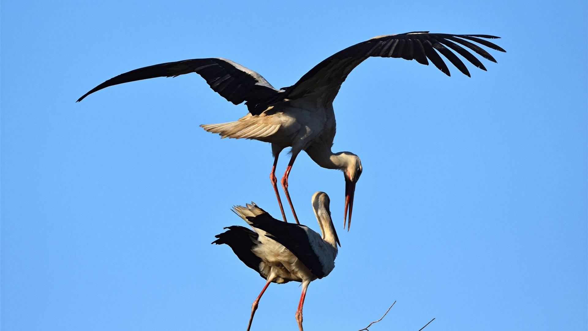 Ostermontag - 06.04.2026