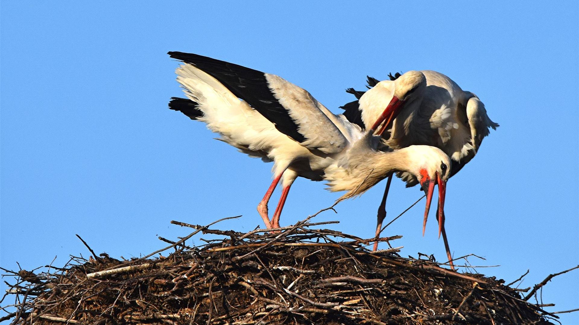 Ostermontag - 06.04.2026
