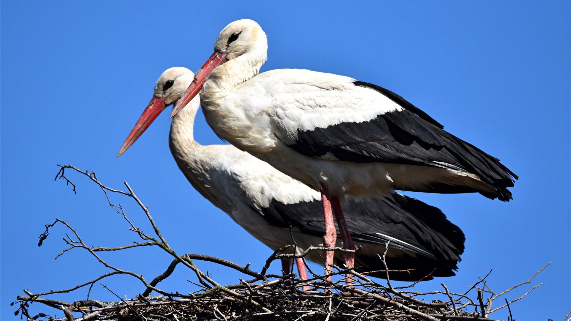 In der Mittagszeit am 07.04.2026