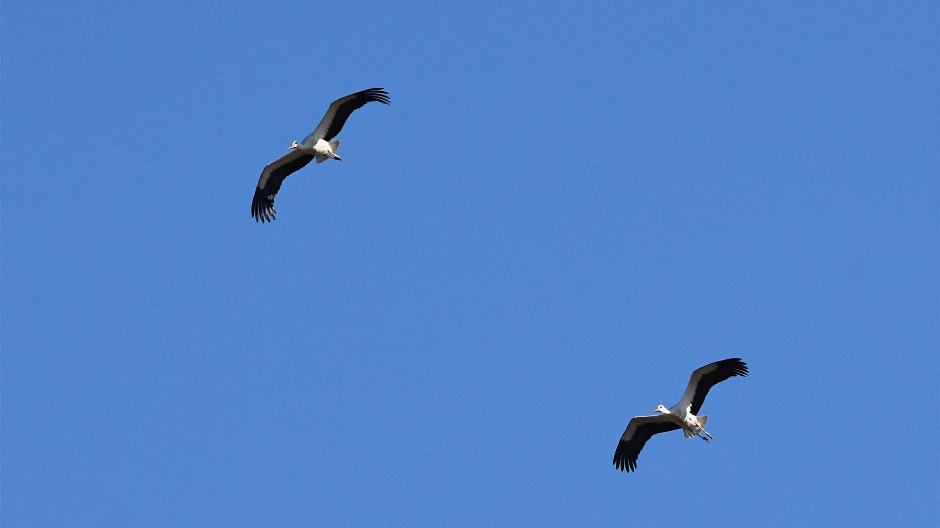 Flugstunde am 09.08.2026
