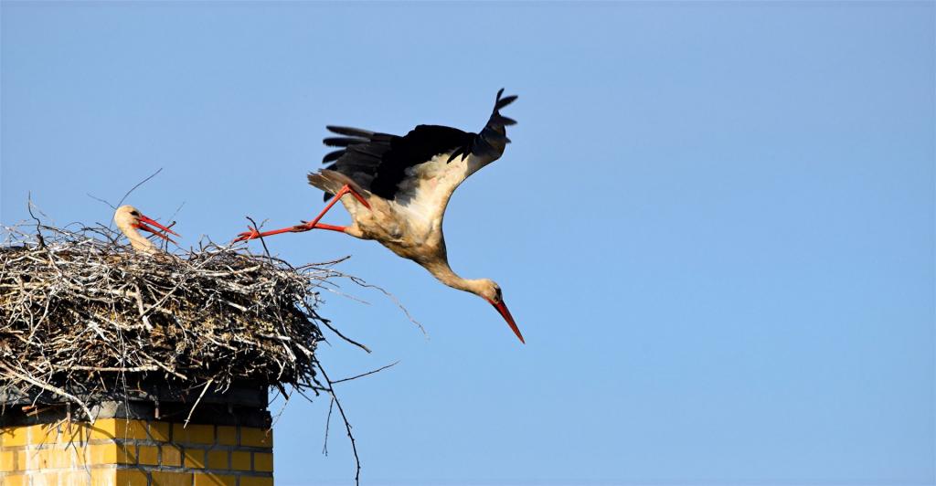 Abflug am 23.05.2026