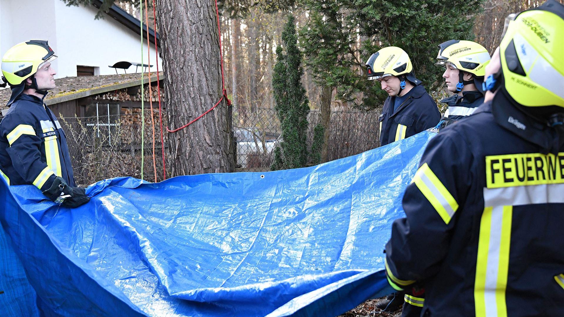 Tierrettung Kater Mautzel