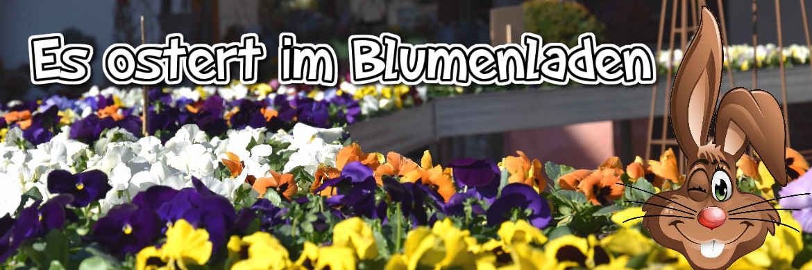 Es ostert im Blumenladen