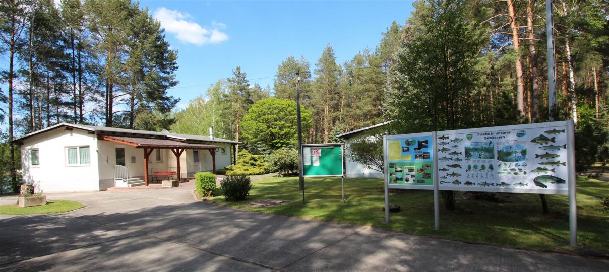 Waldsee Groß düben