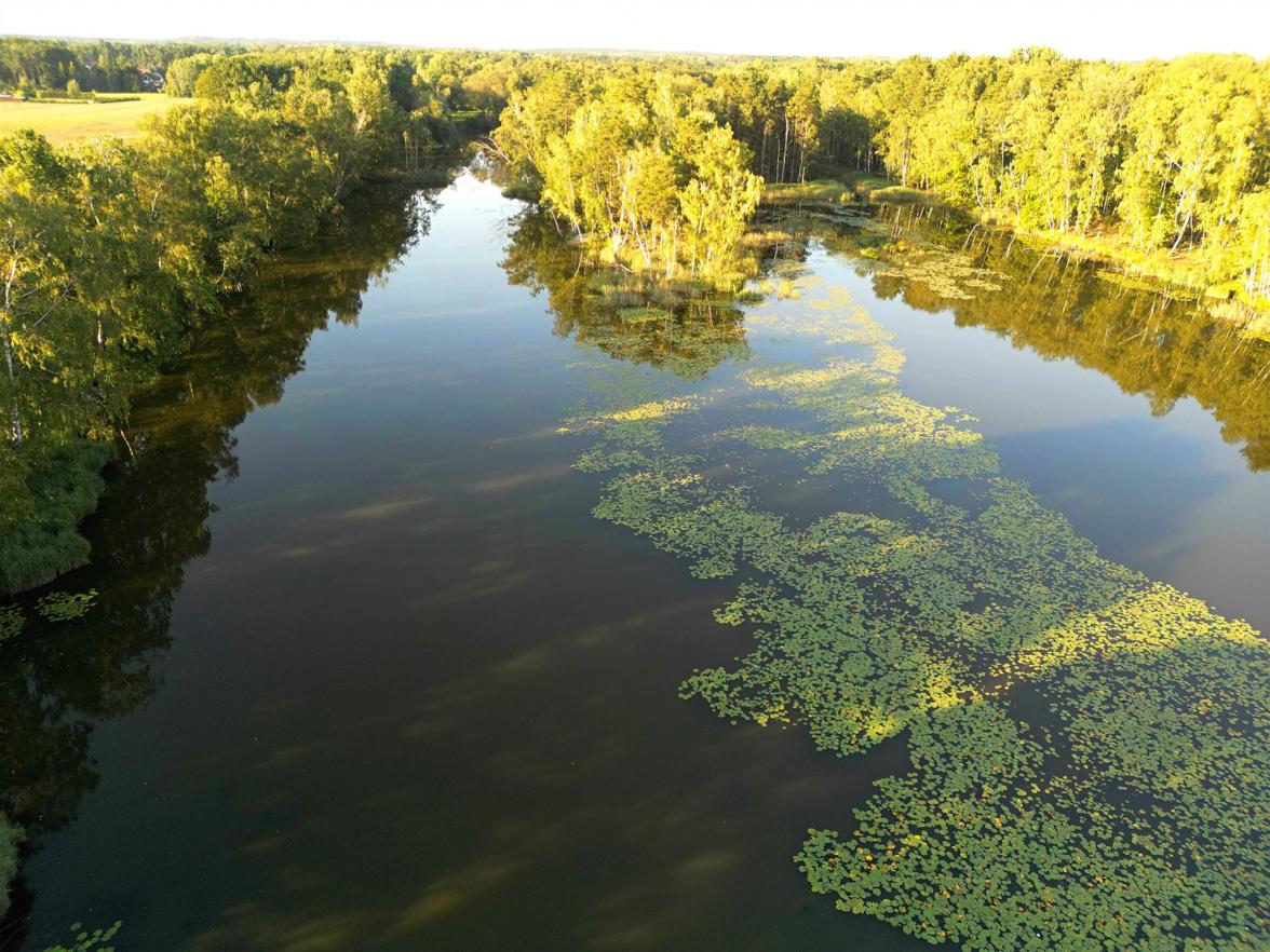 Luftbild Groß Düben Luftbild Groß Düben