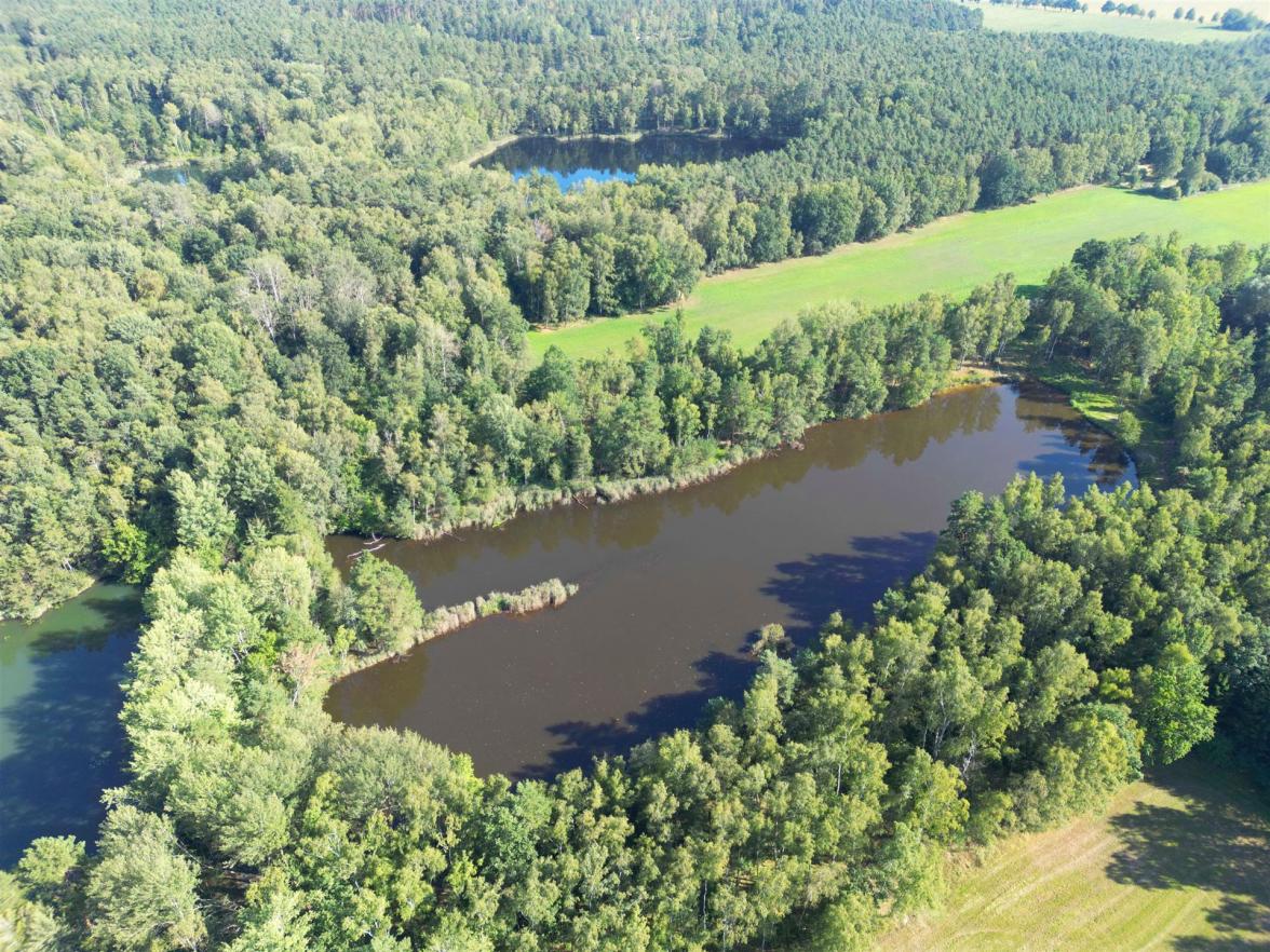 Luftbild Groß Düben Luftbild Groß Düben