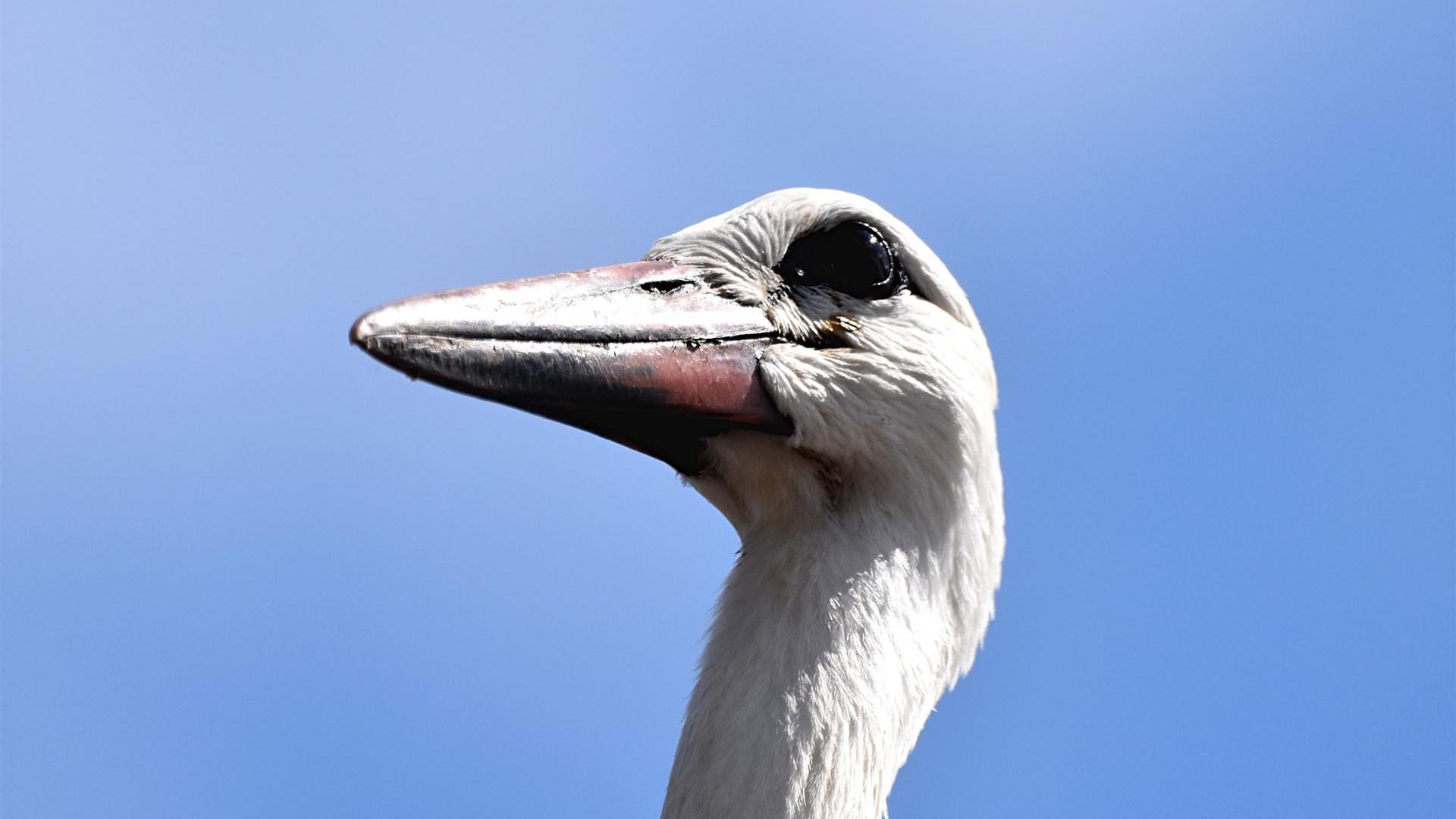Mittagsfotos