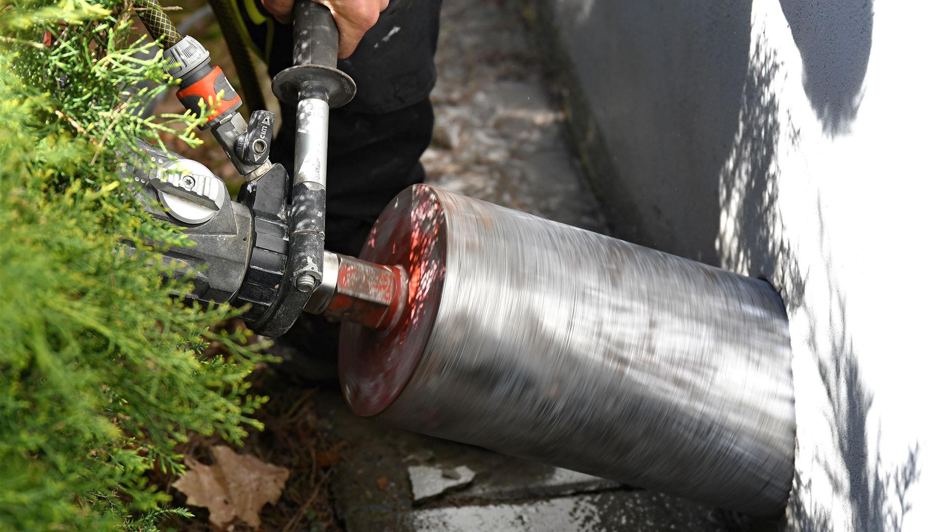 Arbeitseinsatz am Waldsee 2026