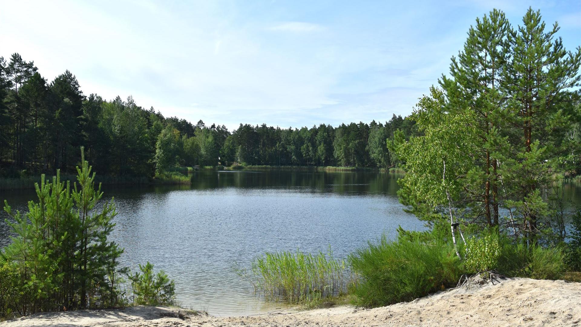 Rund um den Waldsee Groß Düben