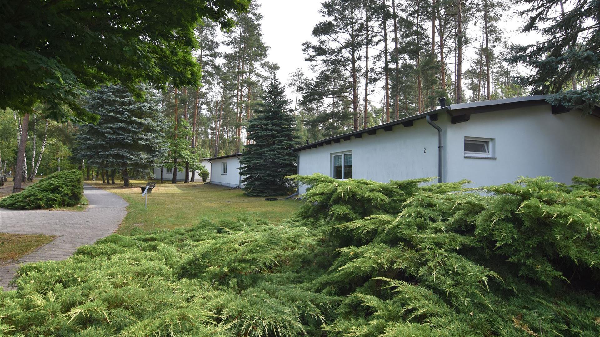 Rund um den Waldsee Groß Düben