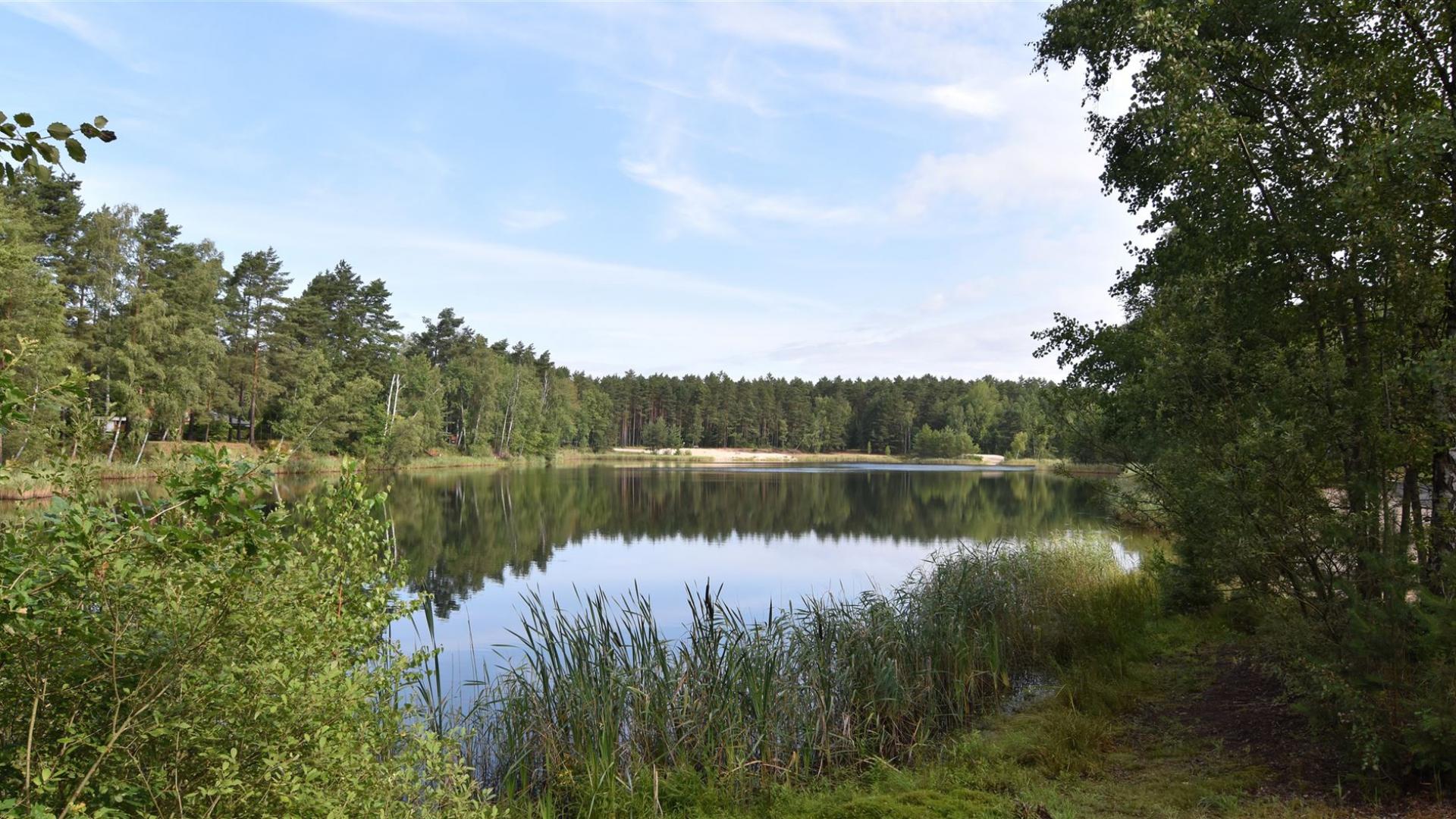 Rund um den Waldsee Groß Düben