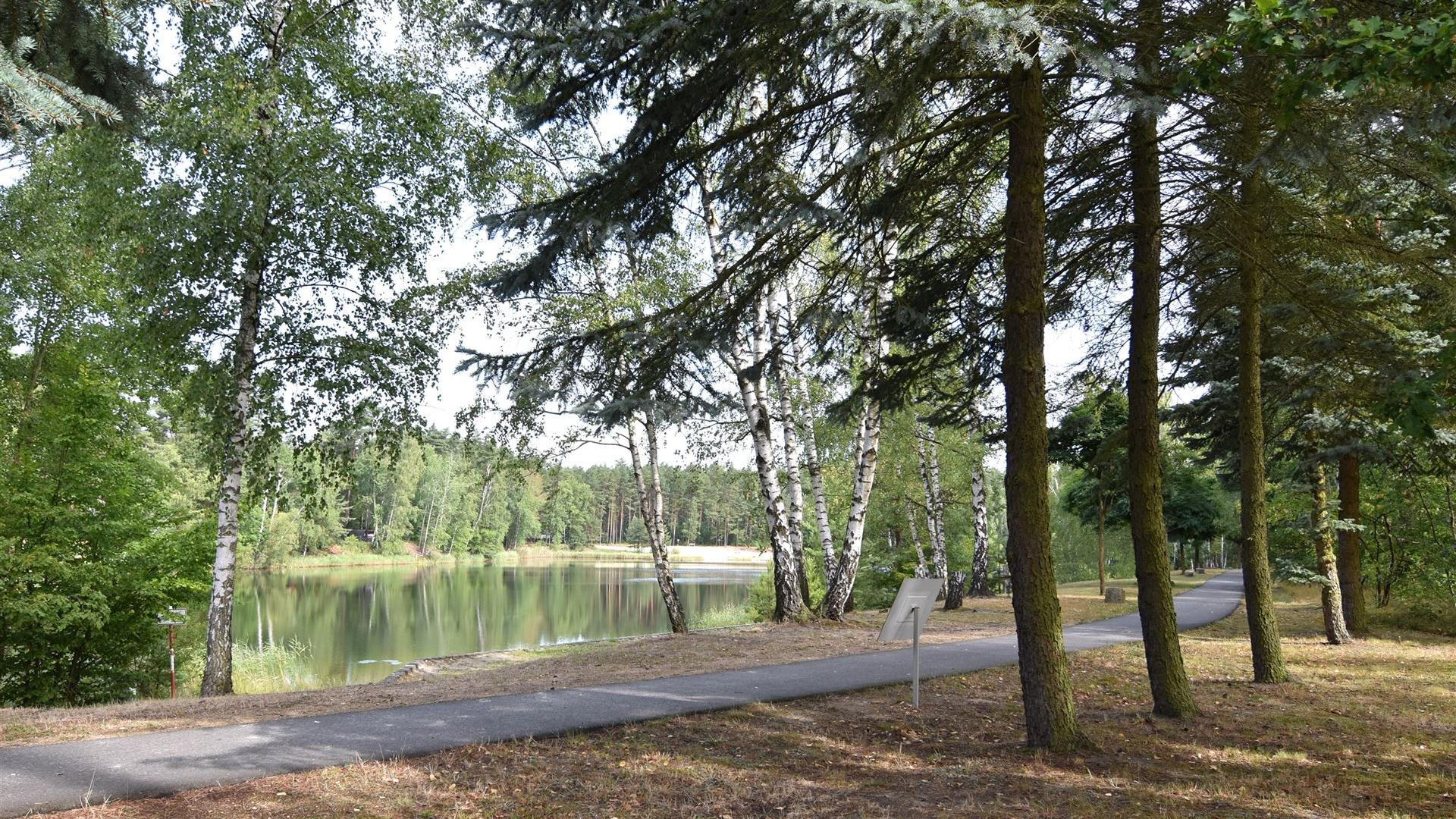 Rund um den Waldsee Groß Düben