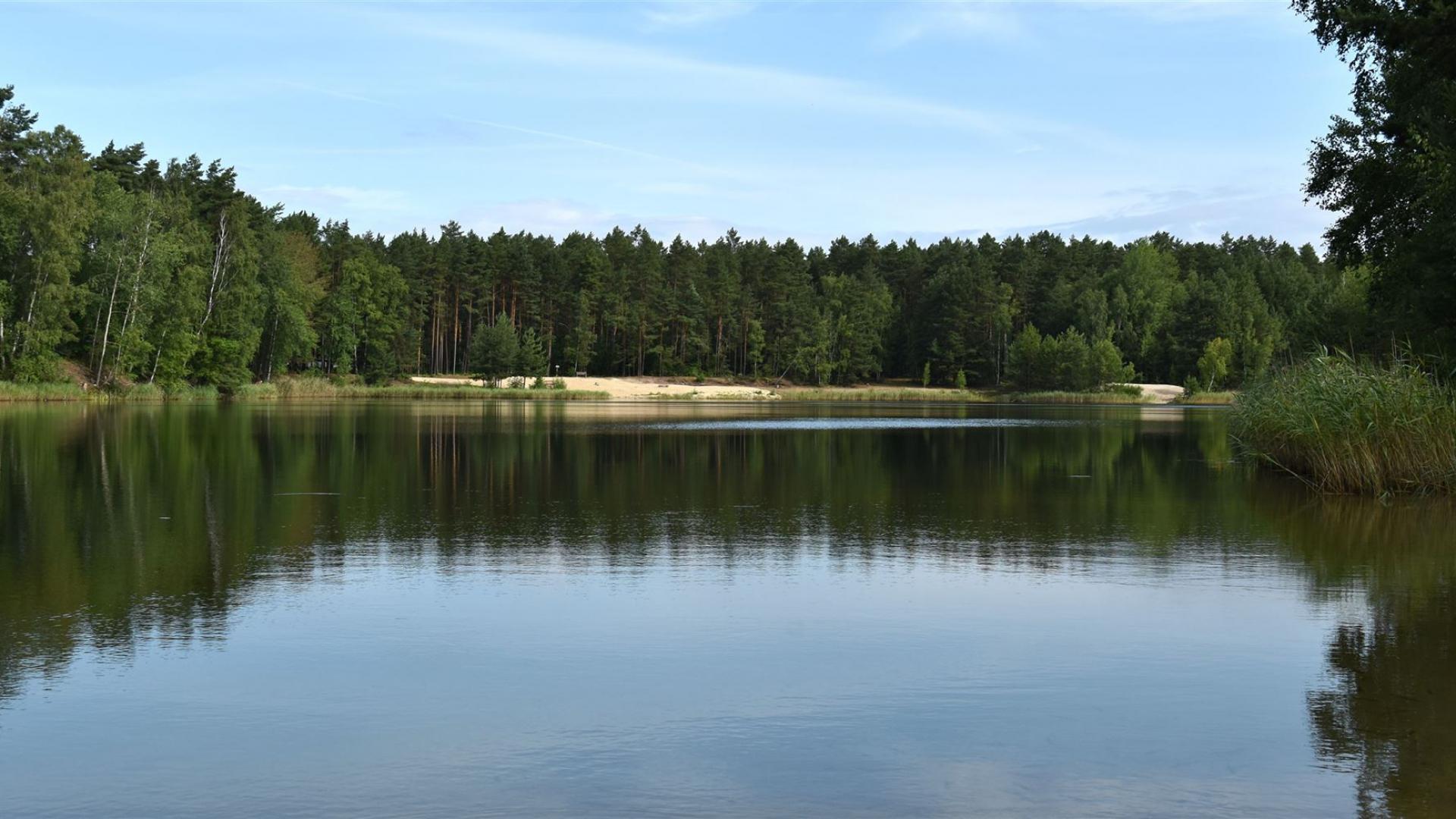 Rund um den Waldsee Groß Düben
