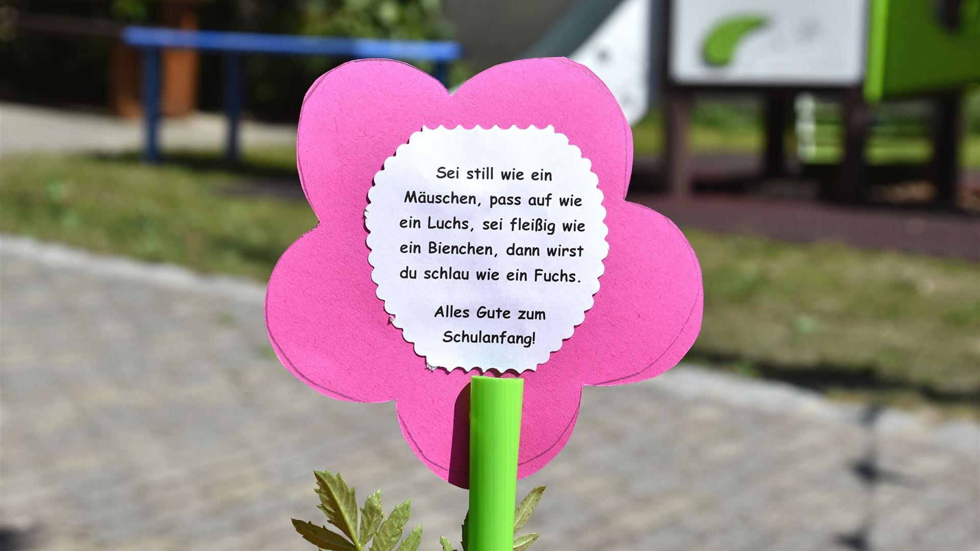 Zuckertüten für die ABC-Schützen
